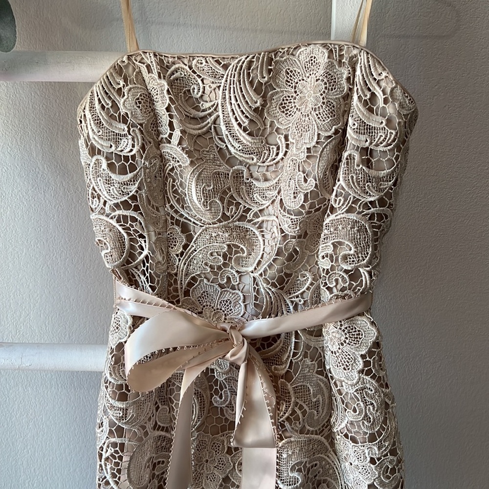 Adrianna Papell- Strapless, Laced Cocktail  Dress- Sz 4 - Picture 5 of 8